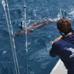 Sailfish Fishing Costa Rica