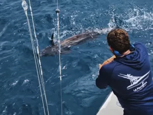 Sailfish Fishing Costa Rica