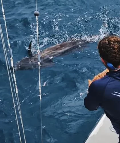 Sailfish Fishing Costa Rica