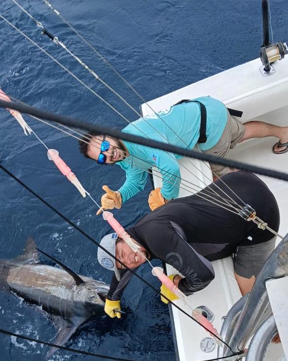 Marlin Catch with La Patrona Sportfishing in Jaco