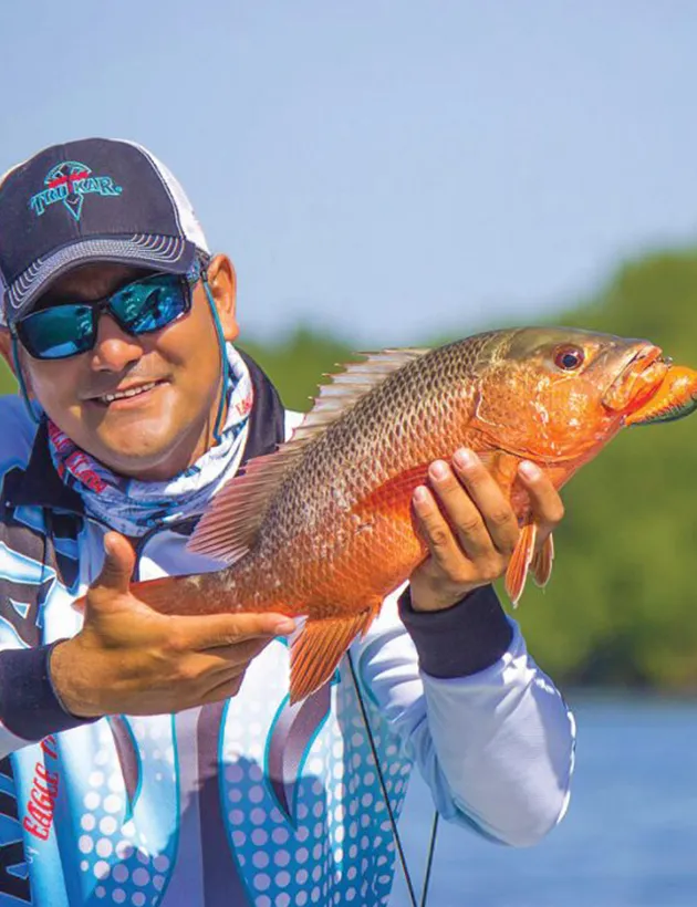 Snapper Fishing Jaco